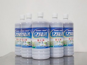 菌之神